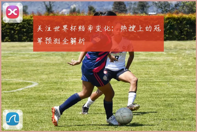 关注世界杯赔率变化：热搜上的冠军预测全解析